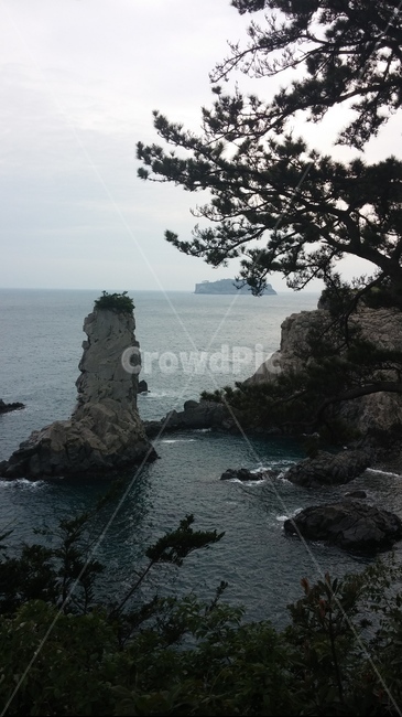 바다,제주도,외돌개,자연,sea