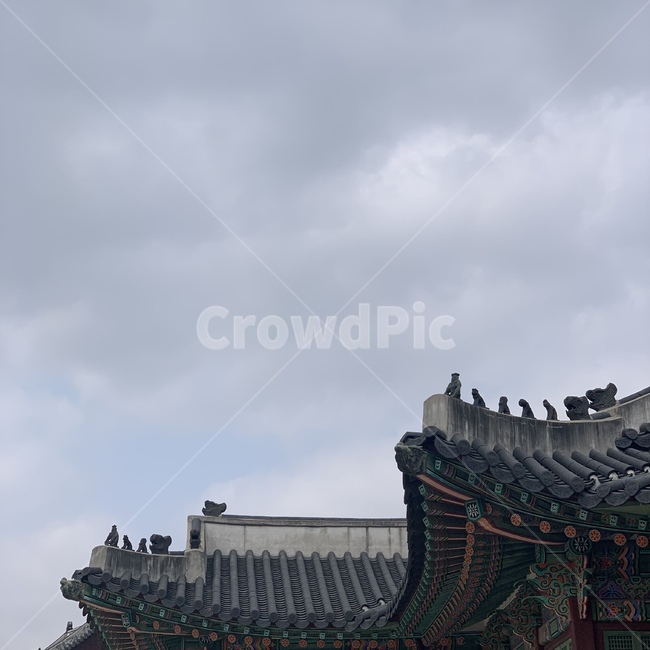 구름,하늘,한옥,전통,해