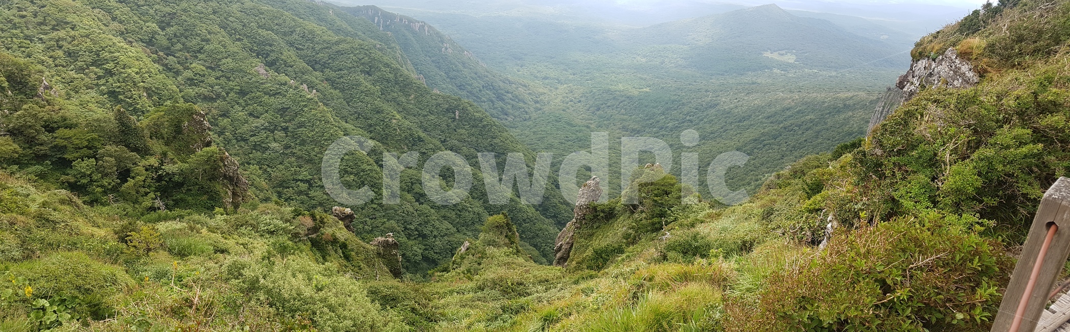 자연,나무,제주도,한라산,영실,풍경,숲,돌,자갈,바위,야외,들판,언덕,시야,view,hill,sky,협곡,능선,날씨,하늘,구름,등산,산책,다리,길,도로,식물,공간,자연풍경,정상,초록,잔디,green,흙,안개,자연,풍경,nature,landscape,outdoors,옥외