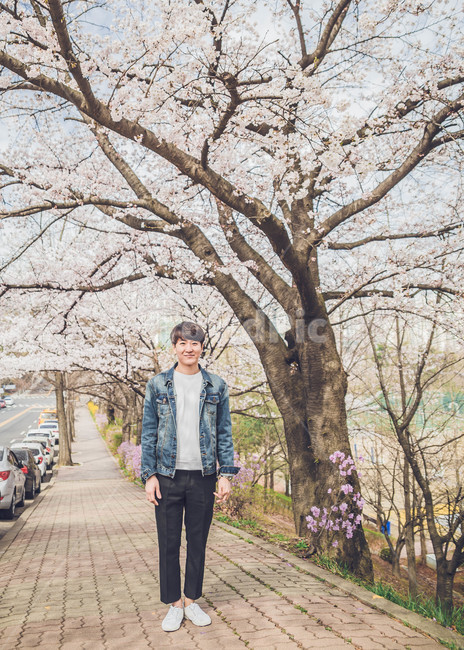 남자,인물,벚꽃,봄,man,봄,계절,spring,season,사람,인물,인간,human,person,남성,남자,man,male,plant,식물,sleeve,소매