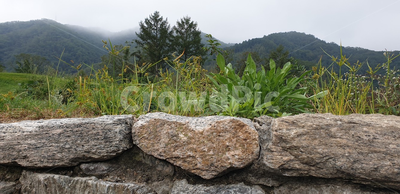 하트,돌,조경,담장,수석,rock,록,wall,벽,자연,풍경,nature,landscape