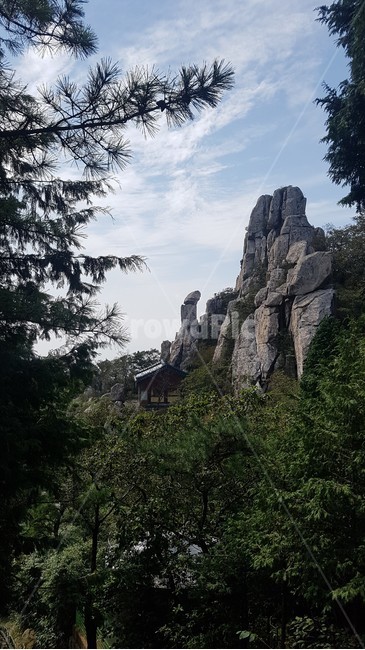 자연,길,하늘,산림,날씨,푸르른,초록,소나무,수림,낙엽,바위,돌,나무사이,풍경,자연,풍경,nature,landscape,outdoors,옥외,cliff,낭떠러지