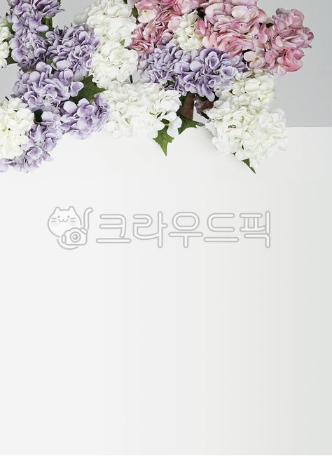 수국,꽃,꽃장식보드,꽃장식,꽃다발,꽃꽃이,flower,flowerbouquet,flowerarrangement,flowerdecorated,flowerdecoratedboard,회색배경,background,백그라운드,배경소스,backgroundsource,source,배경