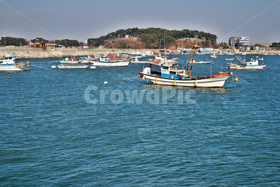 궁평항,항구,부두,화성,바다,고깃배,어선,산업,industry,industrial,어업,fishery,fishing industry