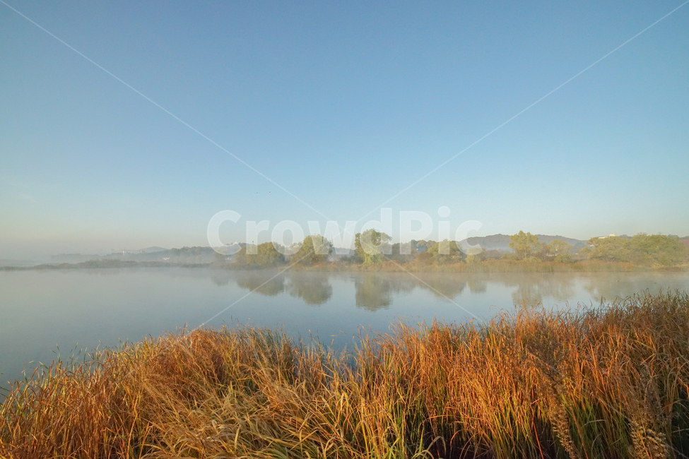 호수,저수지,계절,가을,안개,물안개,새벽,여명,가을,계절,fall,autumn,season,nature,자연,grass,잔디,plant,식물,outdoors,옥외,water,물