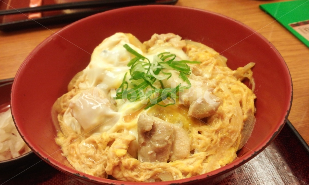 치킨,덮밥,일본,치킨덮밥,chicken,계란,계란밥,egg,Japan