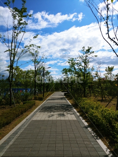 풍경,나무,도보,거리,구름,하늘