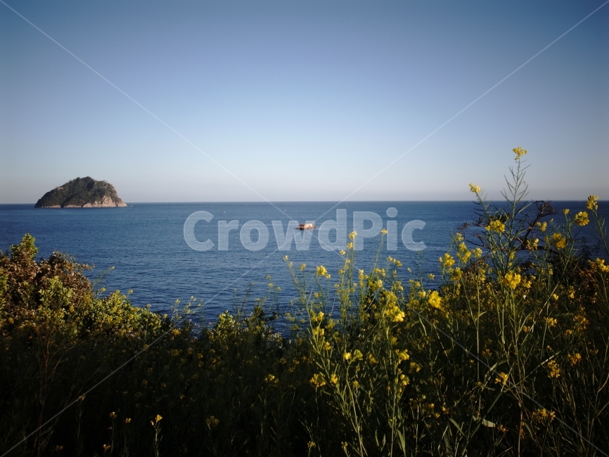 자연풍경,바다,제주도,유채꽃,하늘,자연,풍경,nature,landscape,outdoors,옥외,land,땅,sea,ocean,대양,water,물
