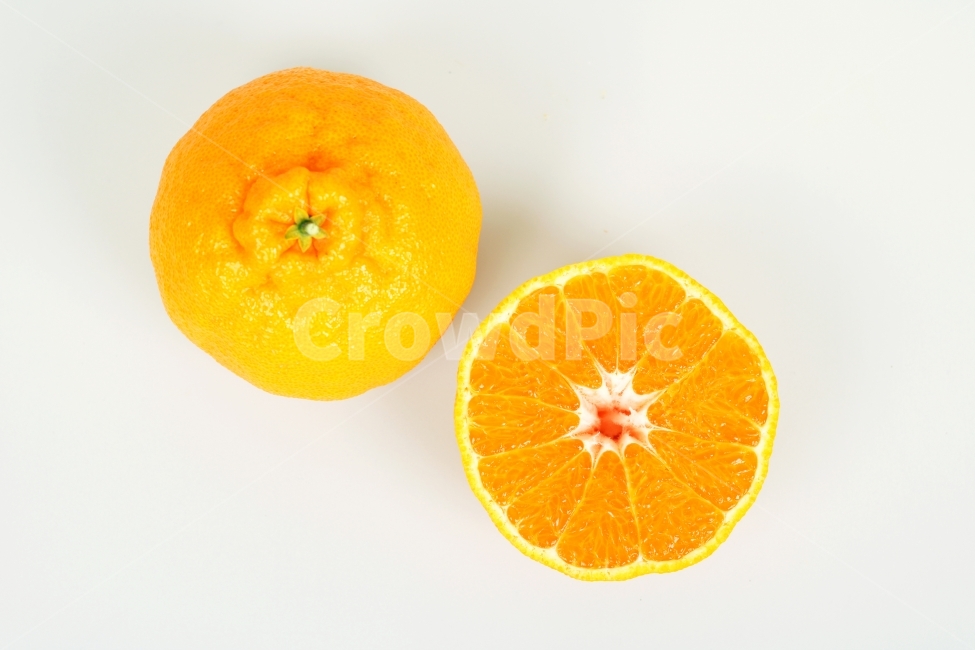 한라봉,오렌지,과일,생과일,음식,디저트,웰빙,식물,열매,다이어트,컨셉,콘셉,다울,단면,음식,식재료,요리,food,cook,meal,dishes,food reserves,과일,열매,fruit,누끼,remove background