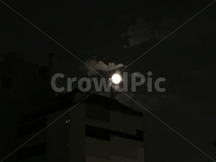 달,구름,날씨,맑음,그리움,야경,밤,풍경,nightscape,night,landscape,건축물,건물외관,exterior,building,structure,architecture,construction,nature,자연,outdoors,옥외