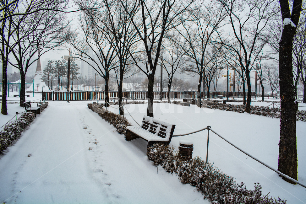 눈발,백설,눈길,흰눈,겨울풍경,겨울,계절,winter,season,자연,풍경,nature,landscape,outdoors,옥외,snow,눈