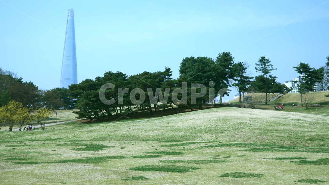 올림픽공원,봄,개나리,나무,하늘,풀,초록색,파란색하늘