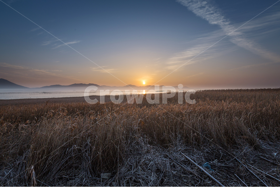 화포해변,해변,일출,물안개,바다,억세,구름,하늘,자연,풍경,nature,landscape,outdoors,옥외,light,빛,flare,플레어