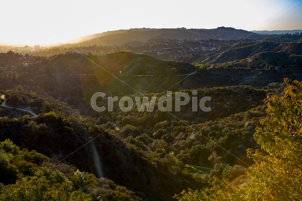 background,beautiful,blue,environment,forest,grass,green,hill,la,landscape,mountain,mountains,natural,nature,outdoor,park,scenery,scenic,season,sky,summer,tourism,tree,usa,valley,view,산,미국,로스앤젤레스,나무,초록,숲,햇살,자연,산맥