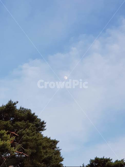 구름,푸른하늘,풍경,하늘,자연,일출cloud,sky,landscape,bluesky