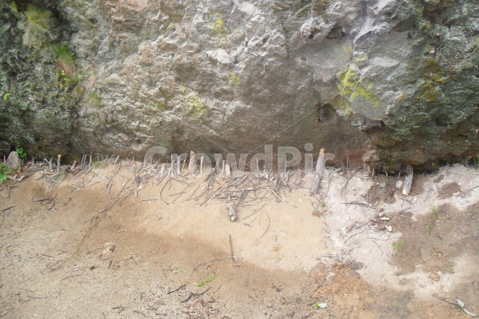 기원,나무가지,pray,바위,rock,tree,산,기도,자연,풍경,nature,landscape,ground,바닥,soil,흙