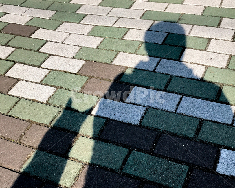 고양이,길냥,cat,러시안블루,길고양이,러블,실루엣,그림자,silhouette,shadow