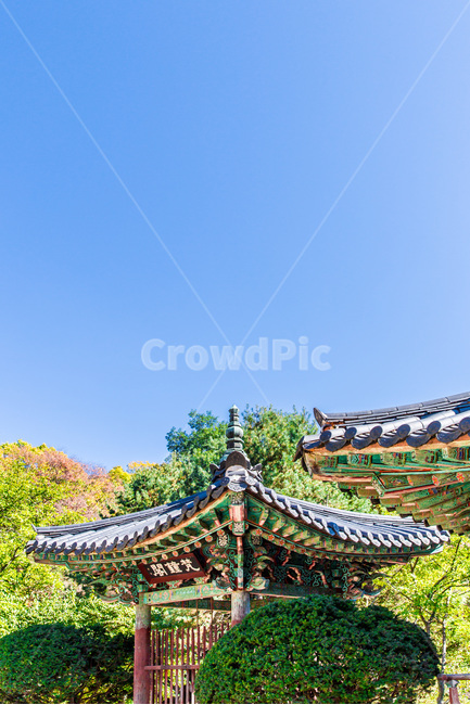처마,단청,종각,추녀,문양,무늬,한국전통,한국문화,korean traditional,korean culture,건축물,건물외관,exterior,building,structure,architecture,construction