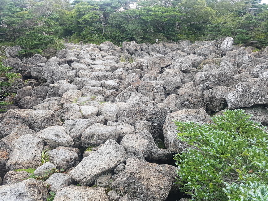 돌,거친,바위,자갈,회색,척박,위험,험한,험난,어려움,길,고난,암석,자연,모래,조각,석조,야생,모나다,울퉁불퉁,채석,지질,환경,나무,풀,산,풍화,자연,풍경,nature,landscape,rubble,파편,rock,록
