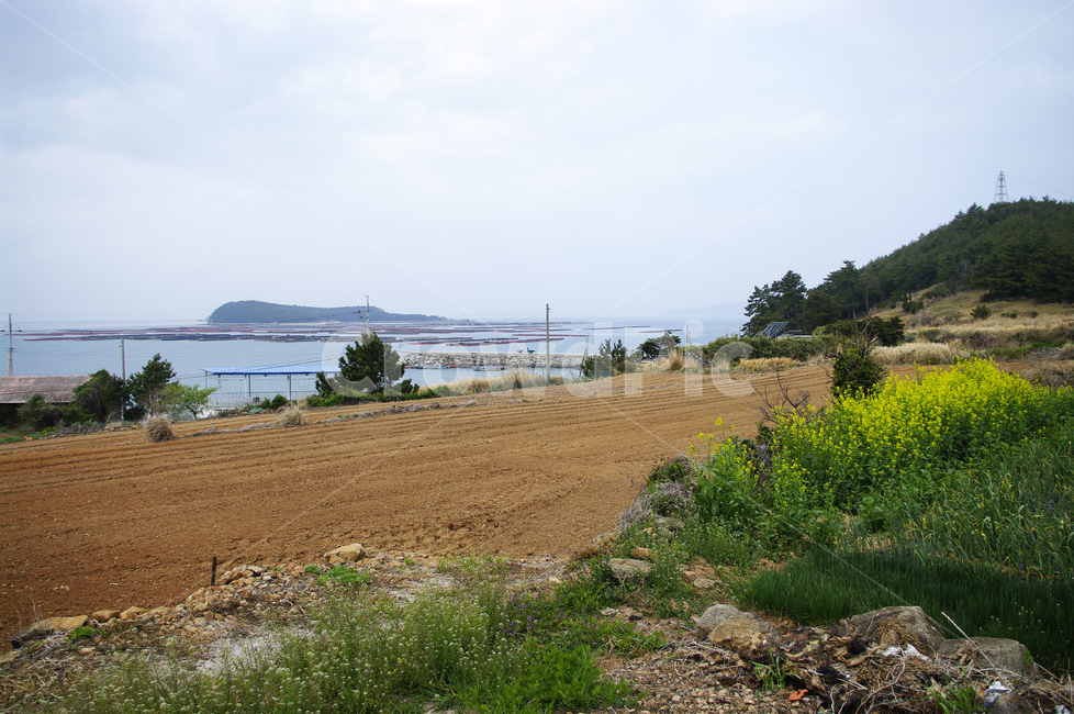 봄,spring,하늘,구름,풍경,바다,밭,섬,봄,계절,spring,season,자연,풍경,nature,landscape,한국자연풍경,한국자연경관,korea nature landscape,ground,바닥,road,도로,gravel,자갈,dirt road,흙길