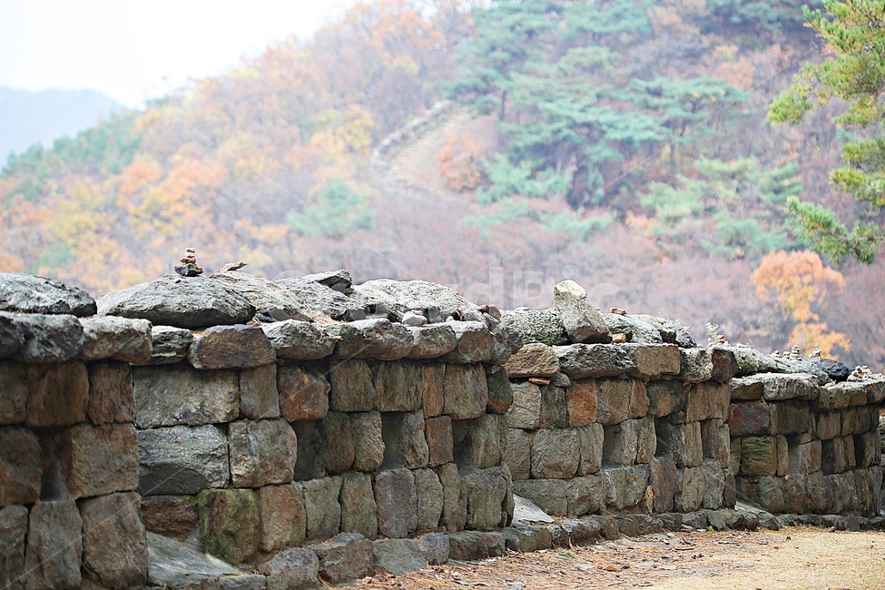 전등사,성,성곽,산성,둘레길,길,숲,숲길,담,돌담,가을,자연,풍경,벽,방어벽,낙엽,단풍