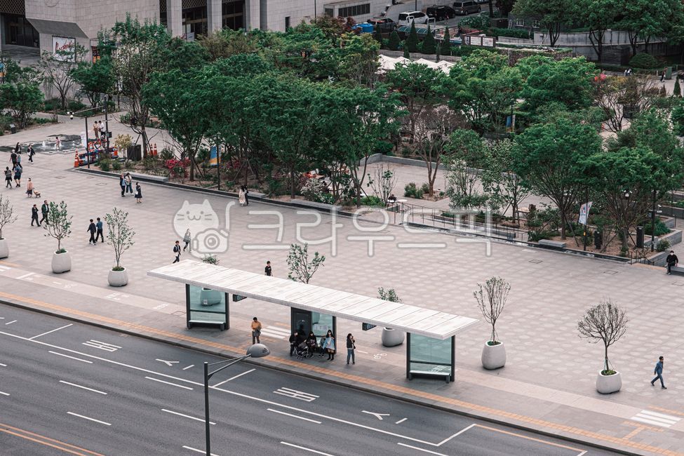 광화문,광장,광화문광장,버스정류장,도로,도시,건물,건축물,서울