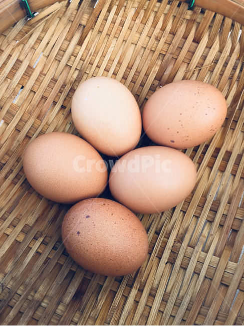 달걀,계란,알,간식,egg,수확,닭,음식,식재료,요리,food,cook,meal,dishes,food reserves