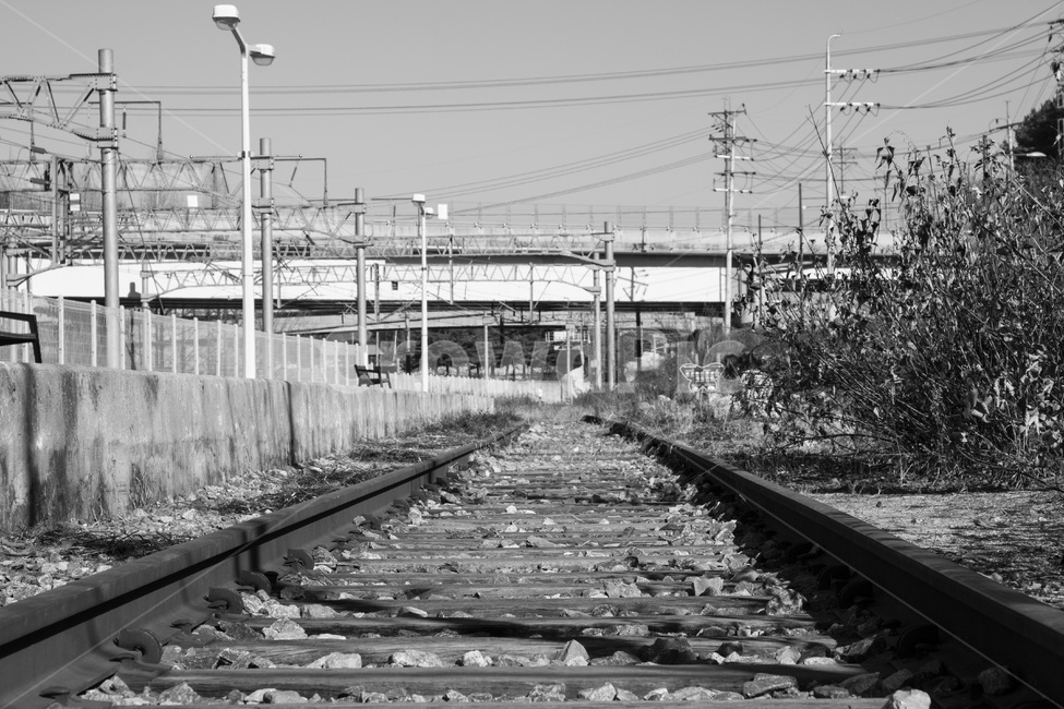 철길,고독,쓸쓸,폐역,기차,흑백,모노톤,monochrome,black and white,교통,교통수단,traffic,transportation