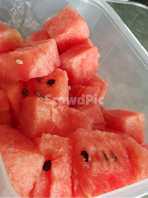 food,과일,fruit,수박,빨간색,빨간과일,수박씨,음식,식재료,요리,food,cook,meal,dishes,food reserves,과일,열매,fruit