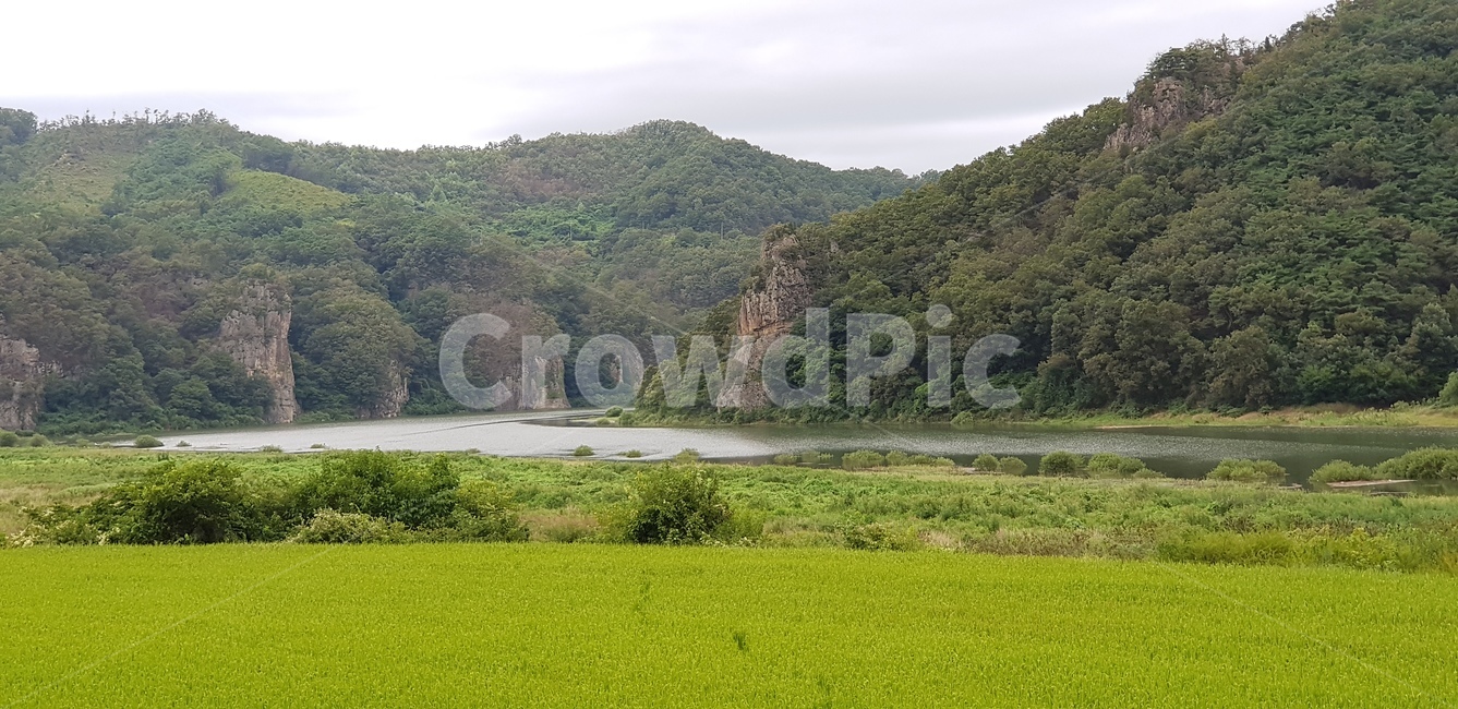 산,강물,바위,들판,곡식,자연,풍경,nature,landscape,outdoors,옥외,grassland,목초지,field,들
