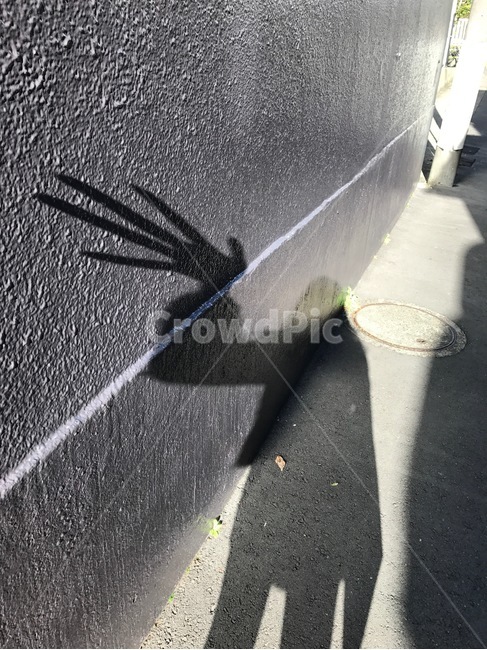 손그림자,그림자,shade,hand,handshadow,shadow,umbra,umbrage,어둠,빛,light,조화,오후,왕손,bighand,여자,여자사람,사람,human,person,girl,woman