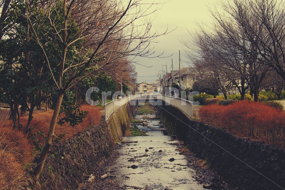 시냇물,천,다리,마을,town,길,나무,tree,물,water,도시,풍경,city,landscape,해외,외국,세계,foreign,oversea,world,세계도시풍경,해외도시풍경,외국도시풍경,world cityscape,감성,sensible,feeling,ditch,도랑