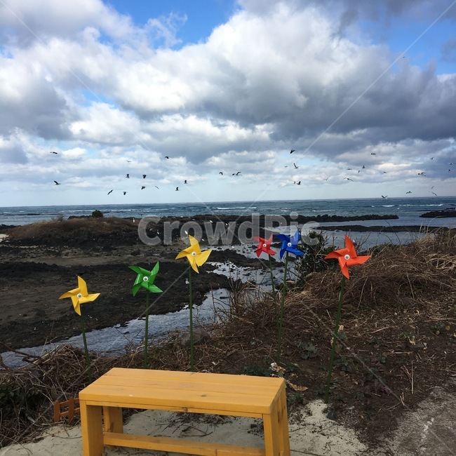 제주도,해맞이해안로,해안도로,바람개비,풍경,제주,바다,겨울바다,beach