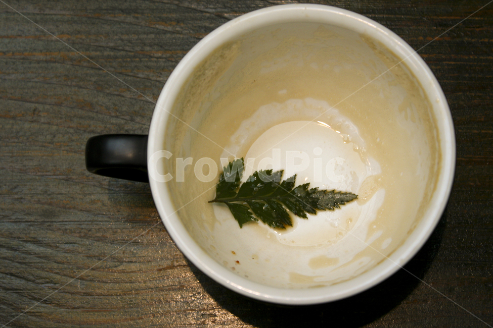 빈잔,라떼빈잔,라떼,라떼거품,coffeecup,coffee,latte