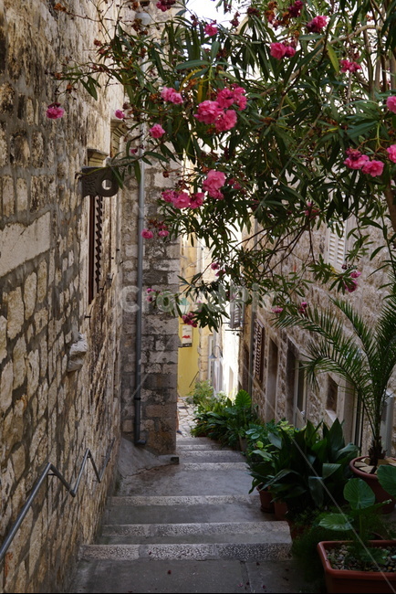 flagstone,판석,arbour,정자,garden,정원,outdoors,옥외,꽃,골목,골목길,계단,벽돌길,벽돌,크로아티아,croatia,골목길,alley