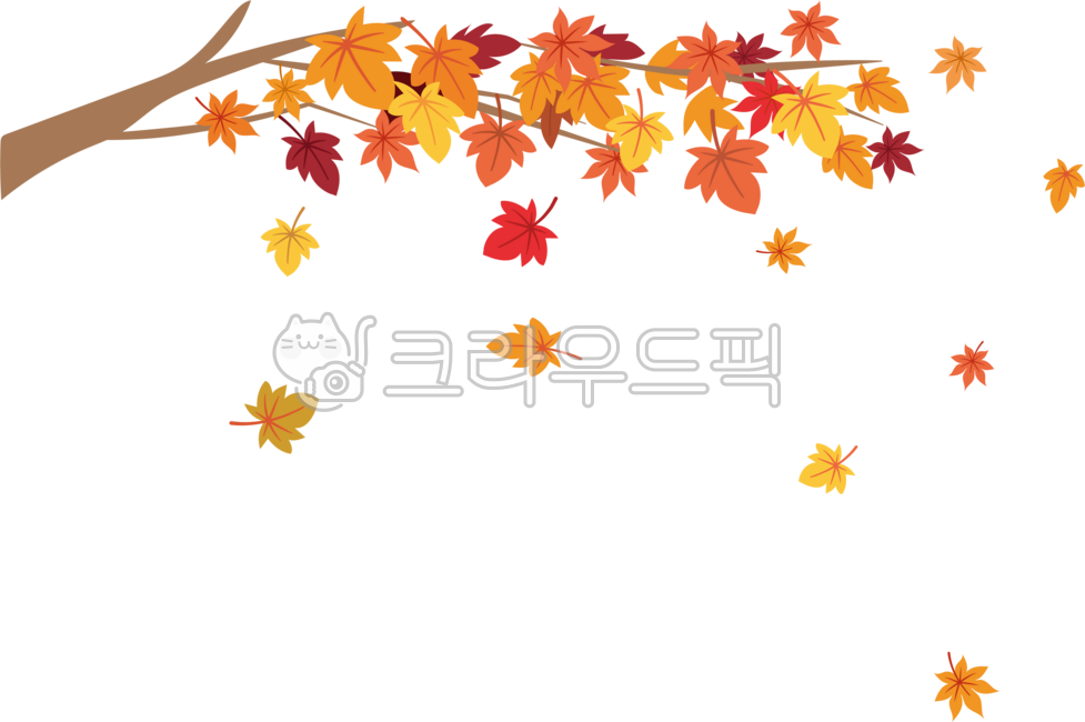 Maple leaves,maple leaves,maple tree,season,fall,plant,illustration