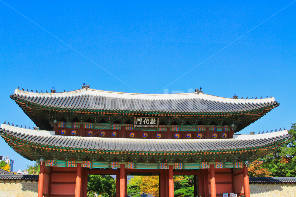 경복궁,비원,돈화문,진선문,창덕궁,한국전통,한국문화,korean traditional,korean culture,랜드마크,landmark,tourist attraction,한국랜드마크,한국관광지,한국명소,korea landmark,korea tourist attraction,건축물,건물외관,exterior,building,structure,architecture,construction