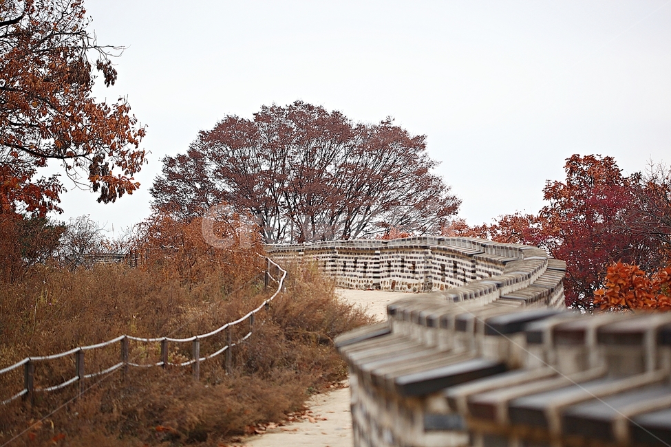 남한산성,성,성곽,단풍,낙엽,길,둘레길,숲,숲길,담돌담,가을,자연,풍경,벽,울긋불긋,산성,식물,가을,계절,fall,autumn,season