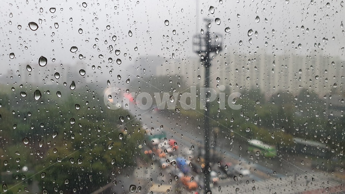 빗방울,비,감성사진,비오는날풍경,rain,raindrop,서울,비,비오는날,rain,rainy