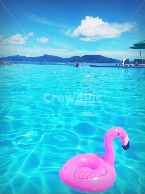 수영장,튜브,홍학,청량,여름,휴양지,여행,코타키나발루,리조트,여름,계절,summer,season,여행,휴가,traveling,vacation,trip,water,물,outdoors,옥외,nature,자연,lagoon,라군,lake,호수