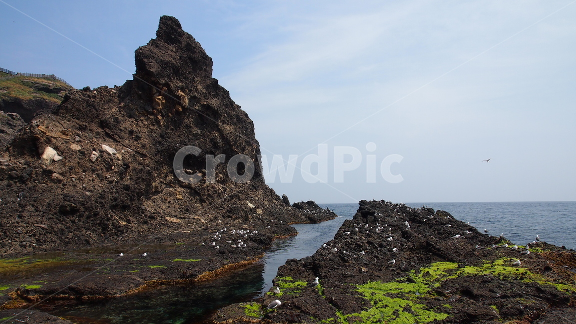 독도,동해,파란하늘,맑음,섬,sea,dokdo,scenery,view,nature,outdoors,promontory,자연
