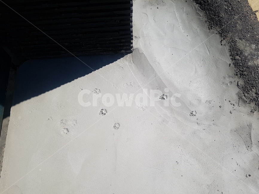 고양이,고양이발자국,발자국,cat,paw,catpaw,footprint,catfootprint