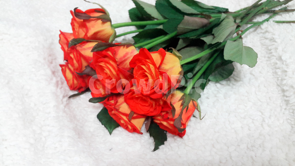 꽃,플라워,꽃다발,부케,장미,flower,bouquet,rose,이벤트,event,서프라이즈,surprise,컬러풀,colorful,생일,birthday,축하,파티,party,선물,present,따뜻한,부드러운,감성적인,빨간