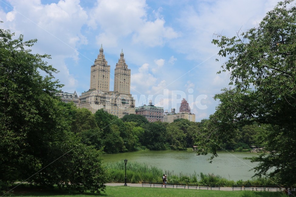 미국,뉴욕,센트럴파크,감성,호수,일상,daily,centralpark,맨해튼,도시,풍경,city,landscape,해외,외국,세계,foreign,oversea,world,세계도시풍경,해외도시풍경,외국도시풍경,world cityscape,plant,식물,grass,잔디