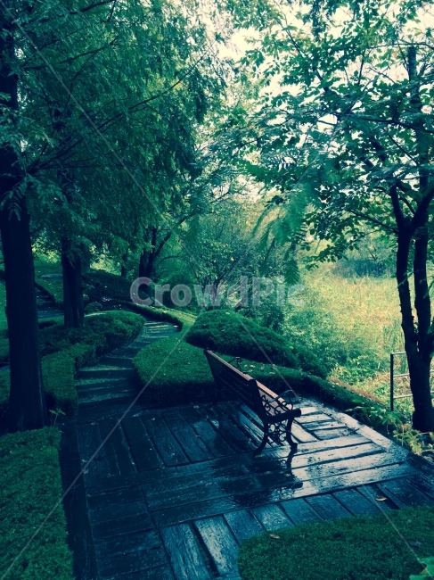 파란색,비,파주,나무,의자,자연,풍경,nature,landscape,휴식,힐링,rest,relaxation,healing