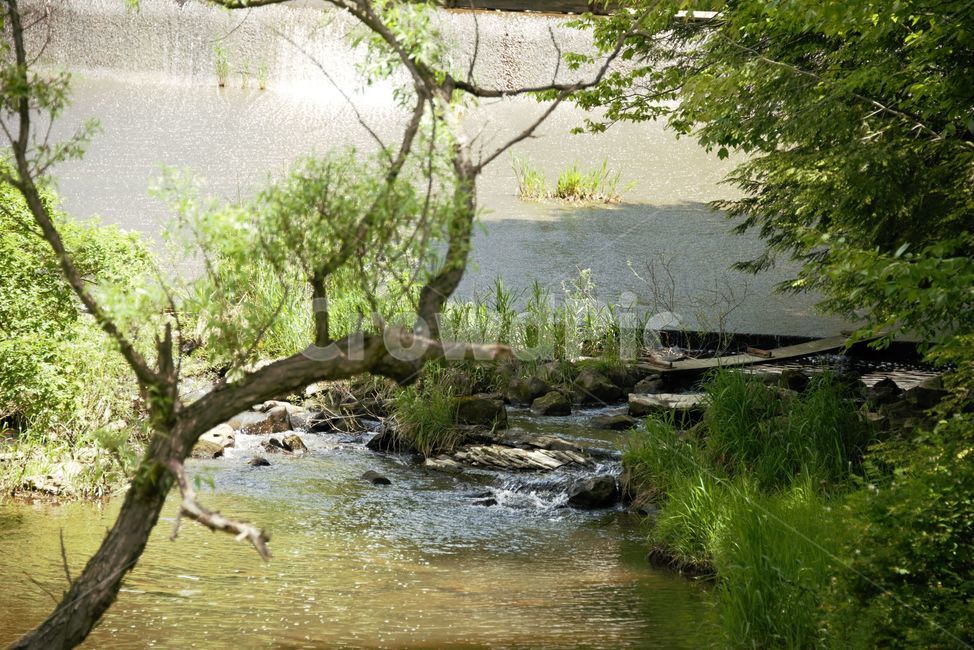 nature,계곡,물,자연,여름