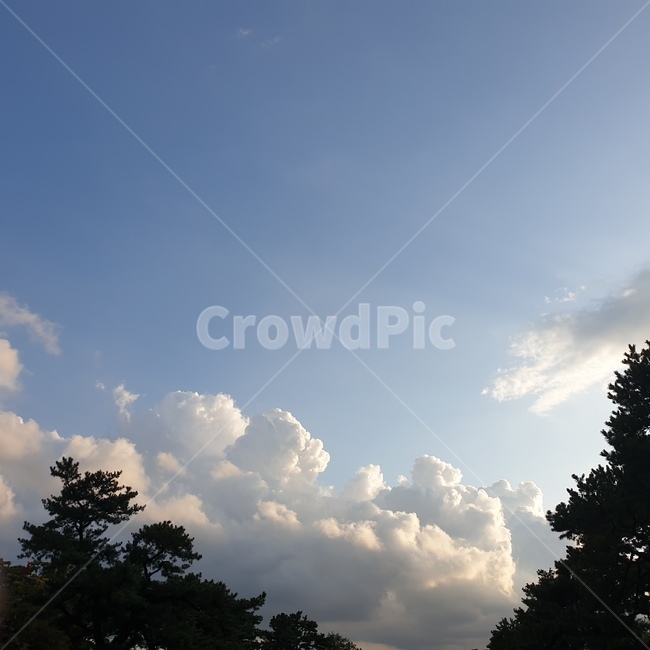 nature,자연,cloud,하늘,구름,sky,적운,자연,풍경,nature,landscape,outdoors,옥외,weather,날씨,cumulus
