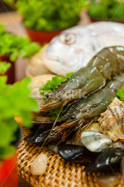 해물,대합,새우,가리비,해산물재료,음식,식재료,요리,food,cook,meal,dishes,food reserves,수산물,해산물,fishery products,seafood