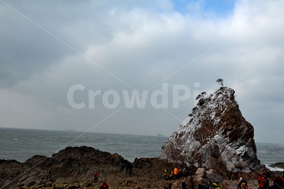 겨울바다,바다,바위,나무,여행,겨울,계절,winter,season,자연,풍경,nature,landscape,한국자연풍경,한국자연경관,korea nature landscape,사람들,대중,군중,other people,crowd,여행,휴가,traveling,vacation,trip,promontory,곶