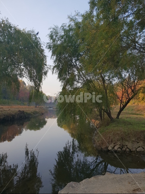 양재천,산책,자연,힐링,가을,가을,계절,fall,autumn,season,ditch,도랑,outdoors,옥외,water,물